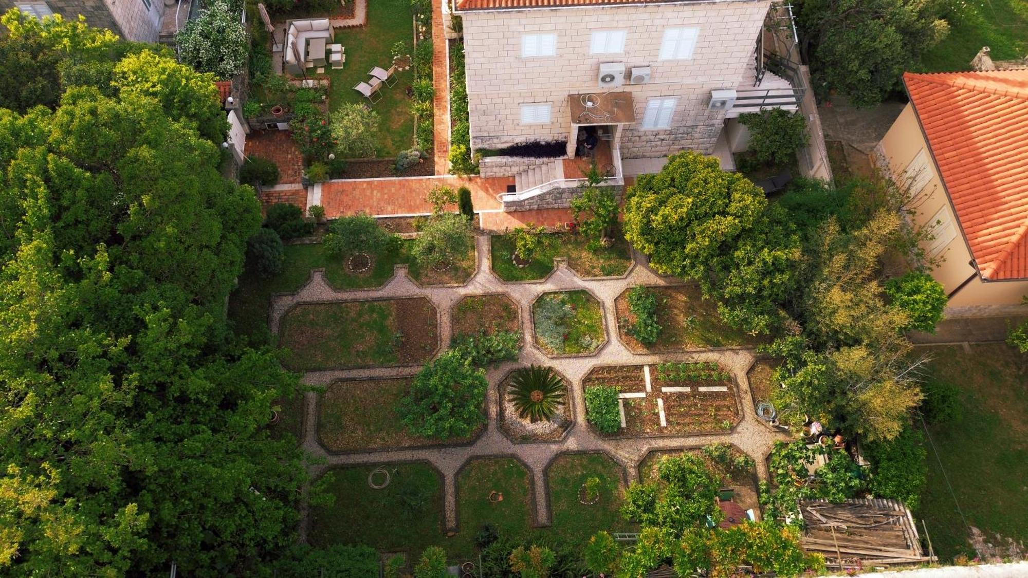 Villa Falkoni II Dubrownik Zewnętrze zdjęcie